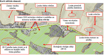 Var pieteikties platību maksājumiem. Iesniegumus LAD palīdz aizpildīt un iesniegt arī pa tālruni 