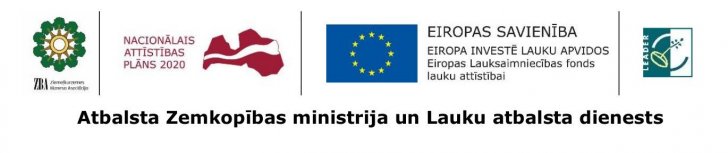 Logotipu ansamblis LEADER ZBA